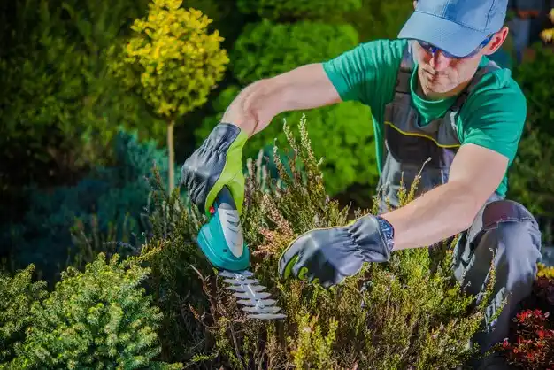 landscaping services Lacona